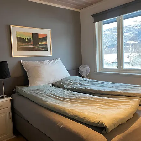 2 Mannsbolig I Sentrum, Naer Skianlegget - 3 Sov Og 7 Sengeplasser