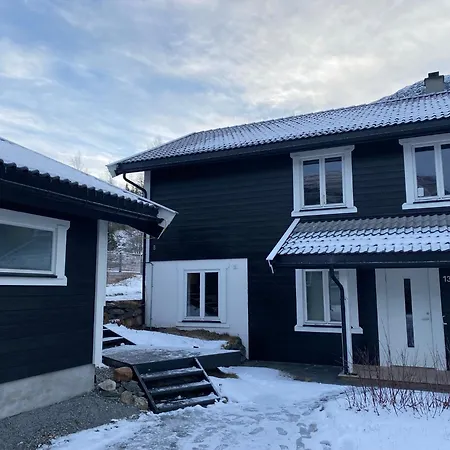 2 Mannsbolig I Sentrum, Naer Skianlegget - 3 Sov Og 7 Sengeplasser *