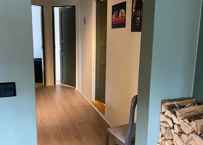 2 Mannsbolig I Sentrum, Naer Skianlegget - 3 Sov Og 7 Sengeplasser * המסדאל